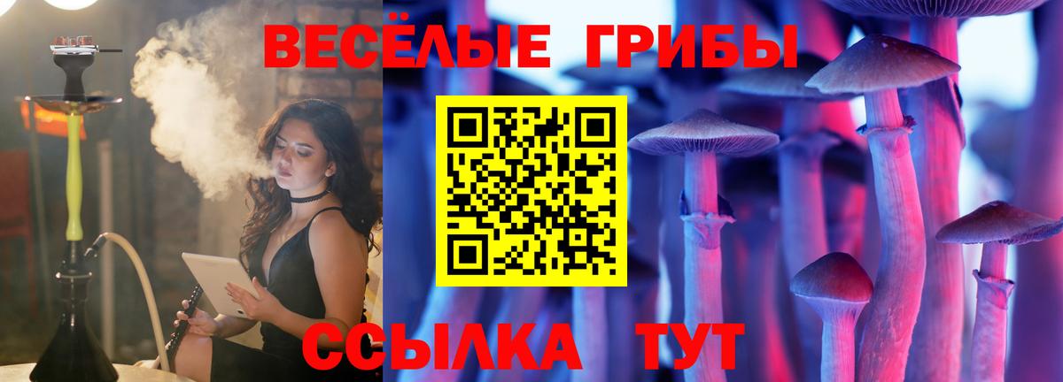 Галлюциногенные грибы MAGIC MUSHROOMS  Вход с VPN  Георгиевск  Галлюциногенные грибы Cubensis 